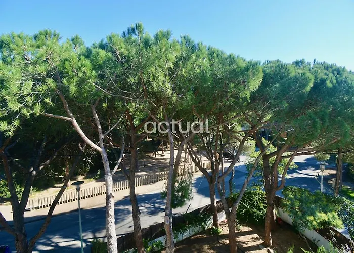 Bris Mar 15 Lägenhet *